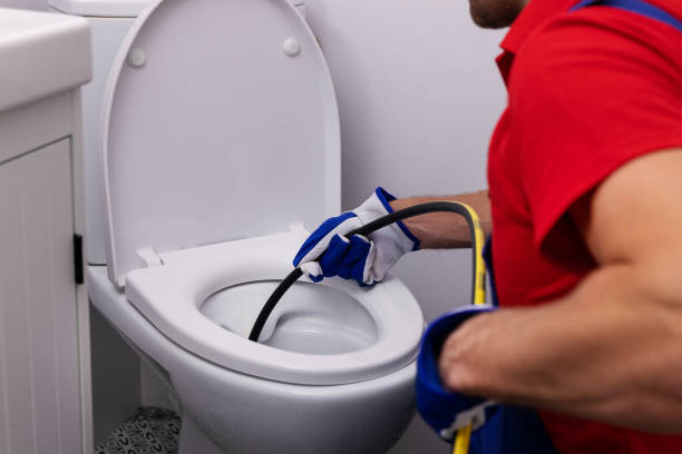 Best Local Plumber Services  in Web, AL