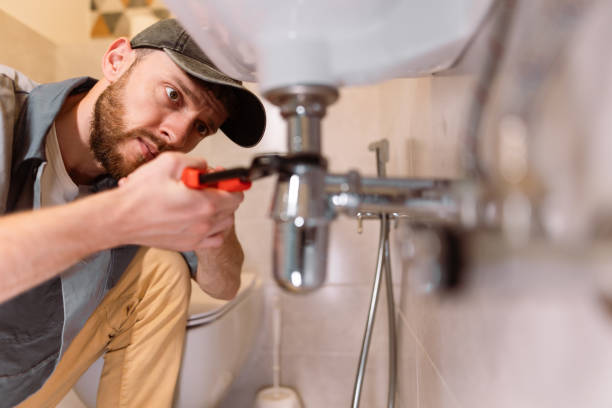 Best Toilet Repair Services  in Web, AL