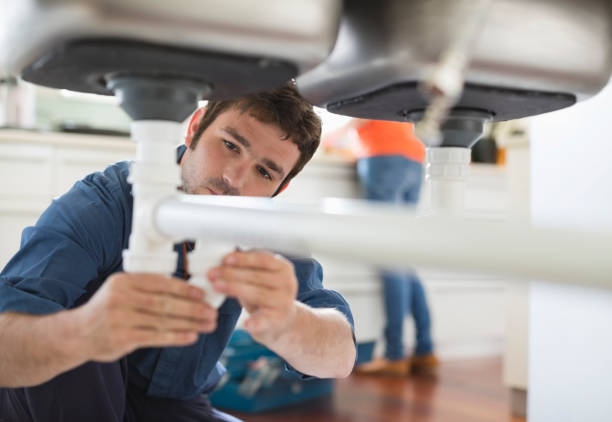 Best Toilet Repair Services  in Web, AL